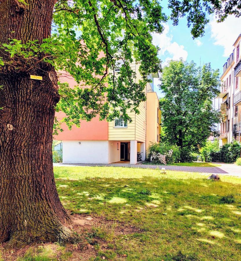 Gemuetliche Ferienwohnung In Ruhiger Lage Dresden Exterior foto